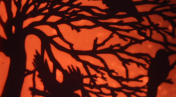 Fire Fly EYE